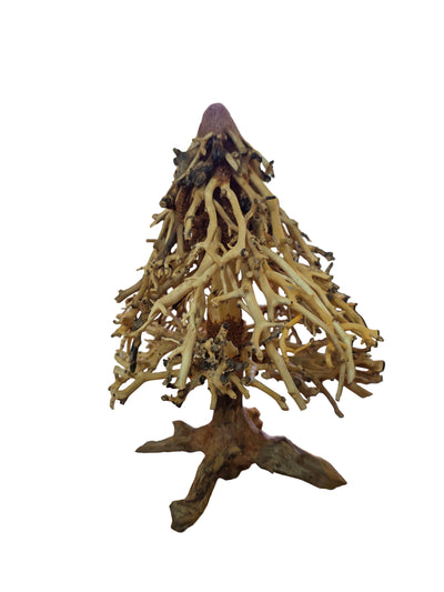 Christmas Bonasai Tree Driftwood