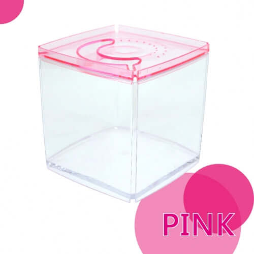 Ista Betta Tank