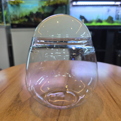 Sea Angel Betta Tank