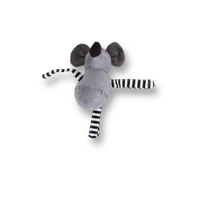 Cat Toys