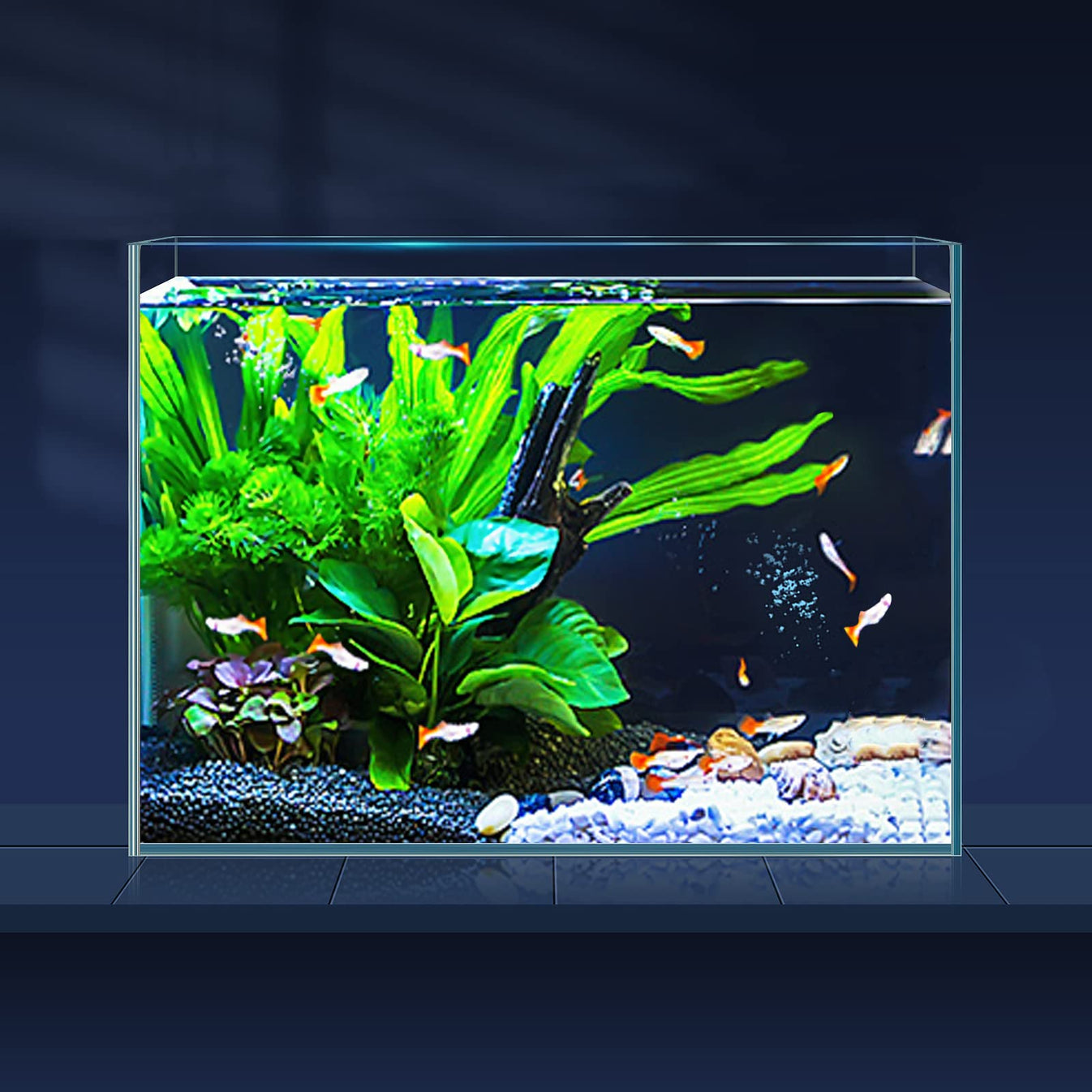 Rimless Crystal Glass Tank