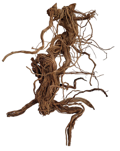 Azalea Wood S Shape 60-100cm