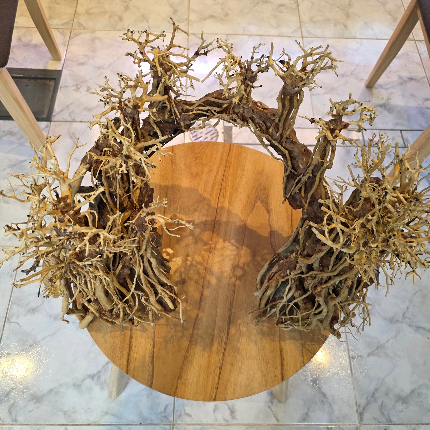 Romantic Bridge Bonsai Driftwood