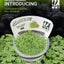 Growow Hydrocotyle tripartita Variegated