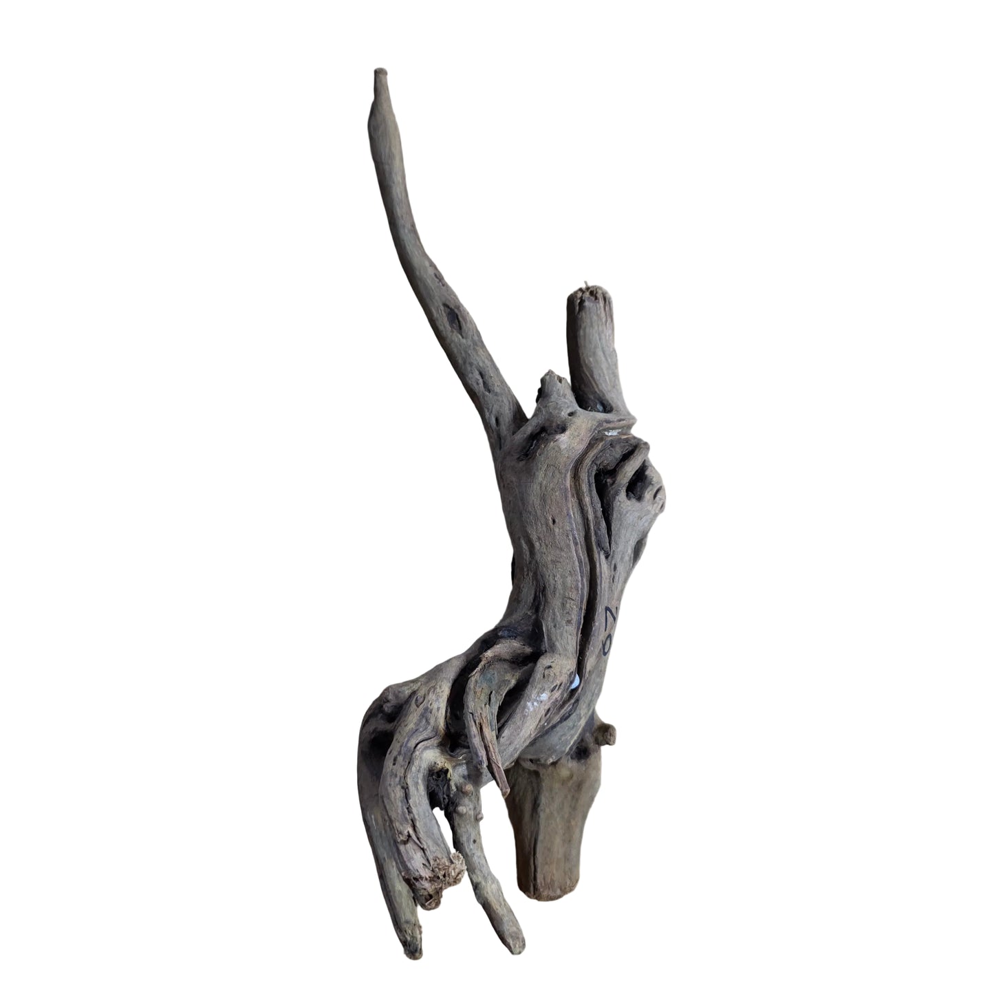 Drift Wood Dark color 20-40cm