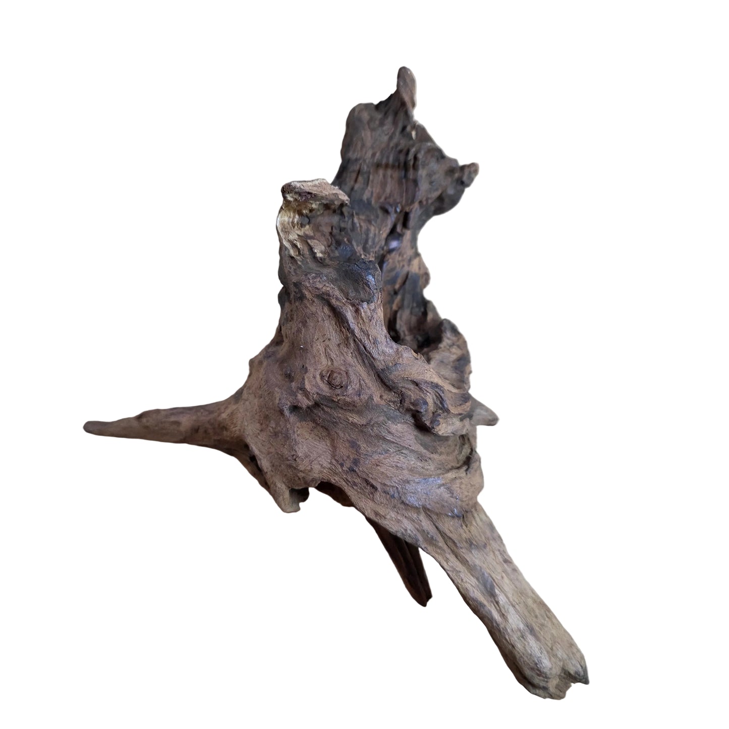 Drift Wood Dark color 20-40cm