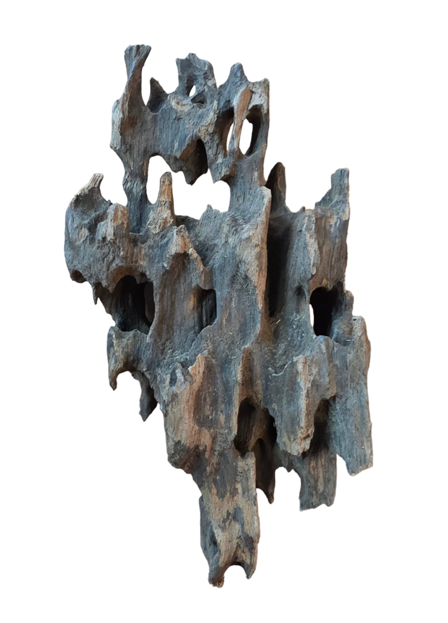 Honey Comb Drift Wood