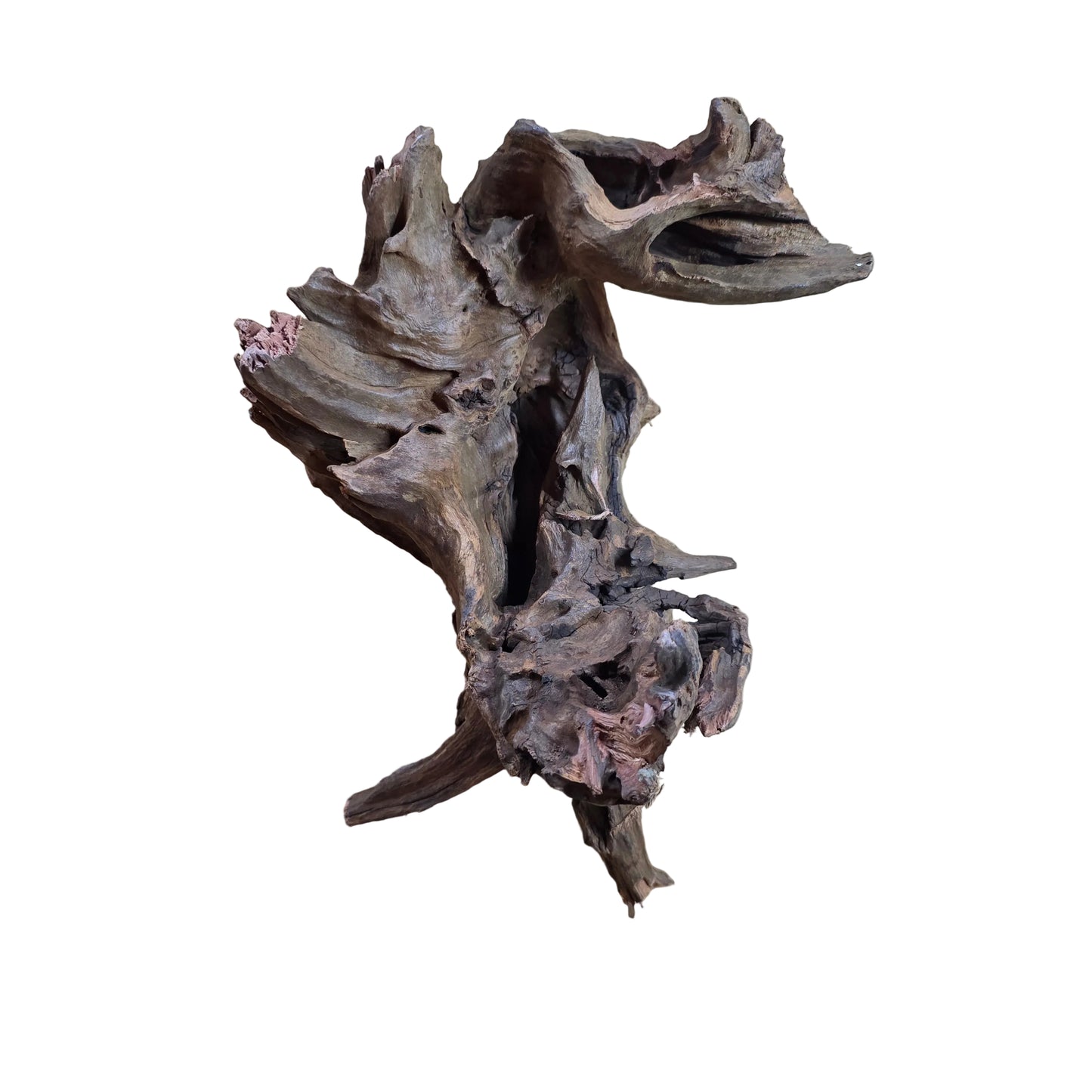 Drift Wood Dark color 20-40cm