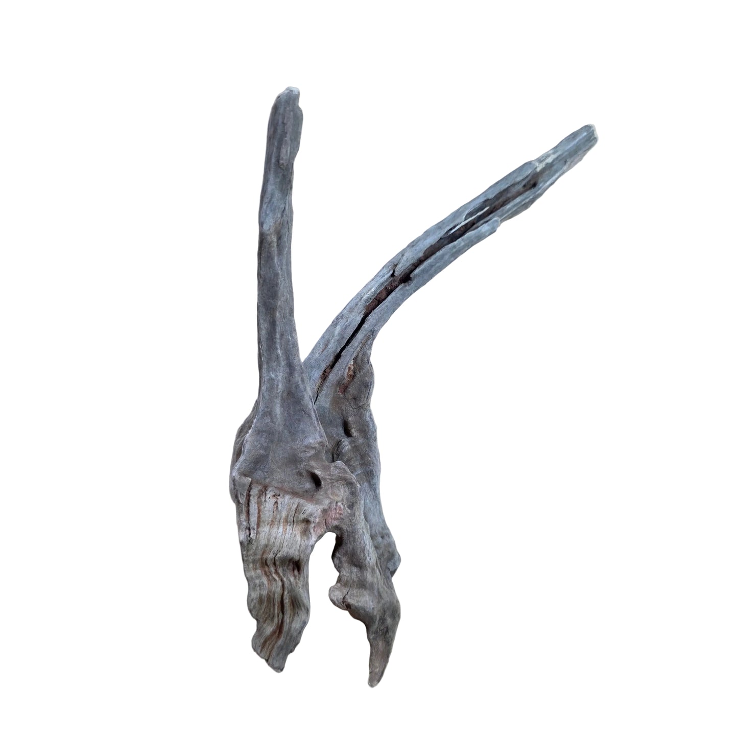 Drift Wood Dark color 20-40cm