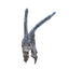 Drift Wood Dark color 20-40cm