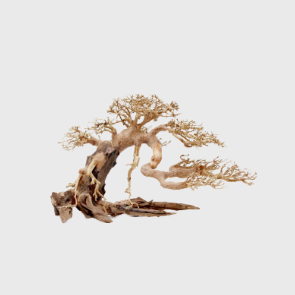 Claw Bonsai Tree Driftwood