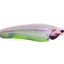 Glass Ghost Cat Fish