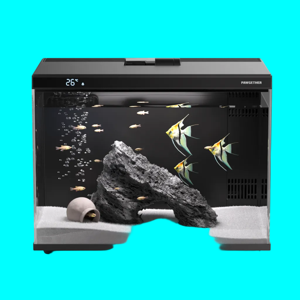 Pawgether Smart Aquarium With Feeder [Wifi Version] 30L