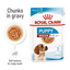 ROYAL CANIN Puppy Gravy 85G