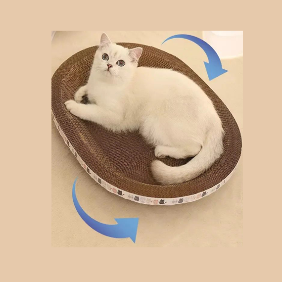 Oval Scratcher