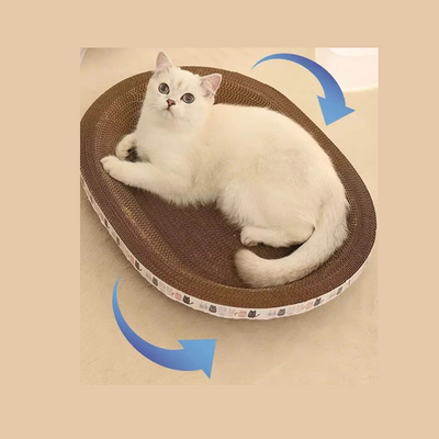 Oval Scratcher