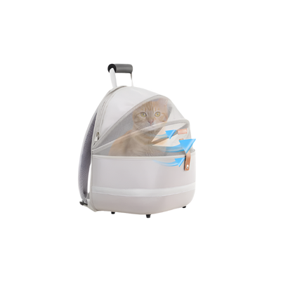 Foldable Cats Pack Bag